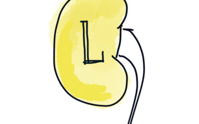 La litiasis urinaria